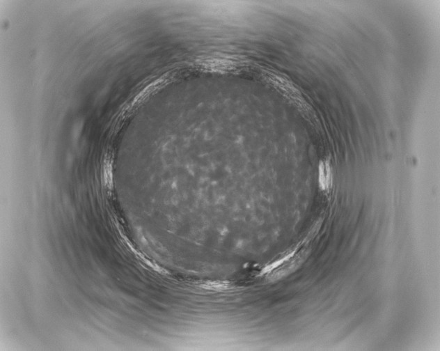 X0000087631155200705181453