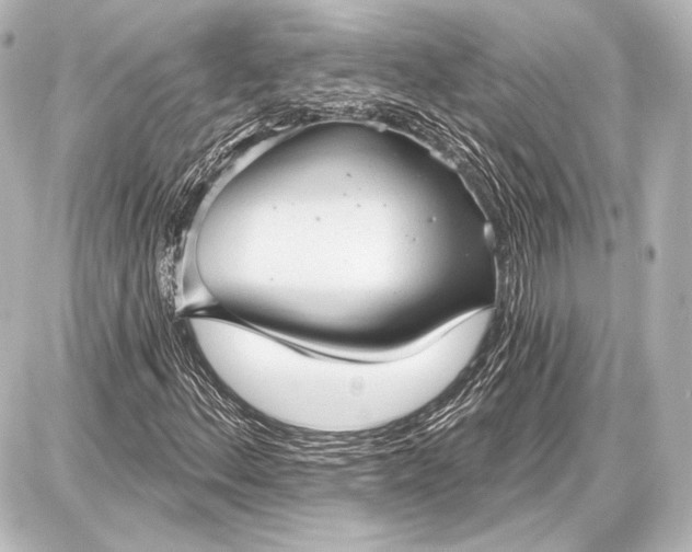 X0000087631156200705181453