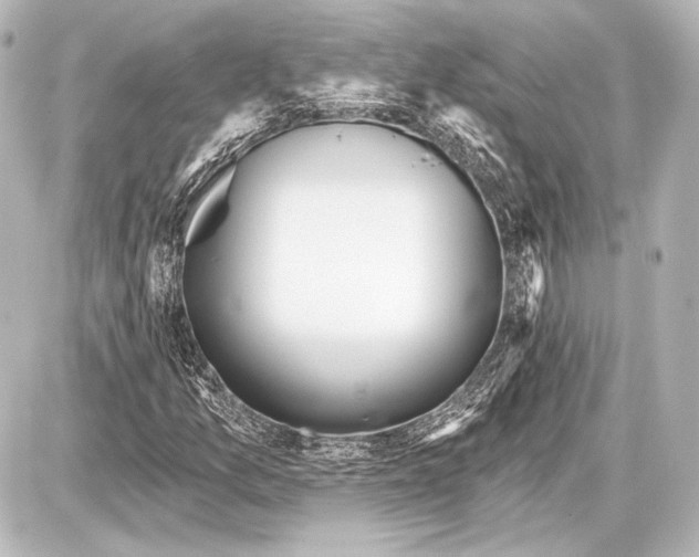 X0000087631157200705181453