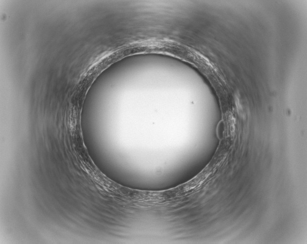 X0000087631158200705181453