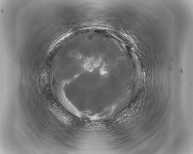 X0000087631159200705181453