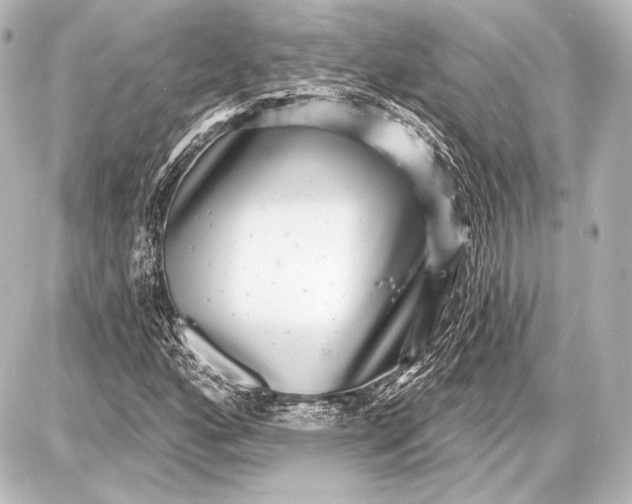 X0000087631160200705181453