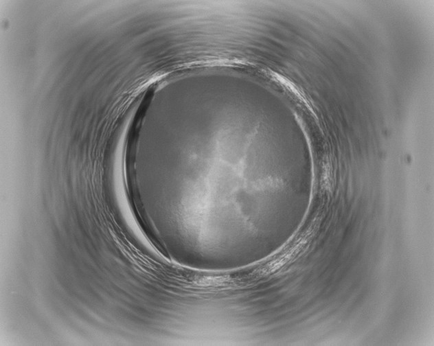 X0000087631161200705181453