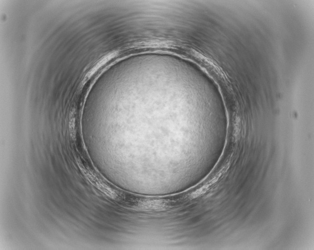 X0000087631162200705181453