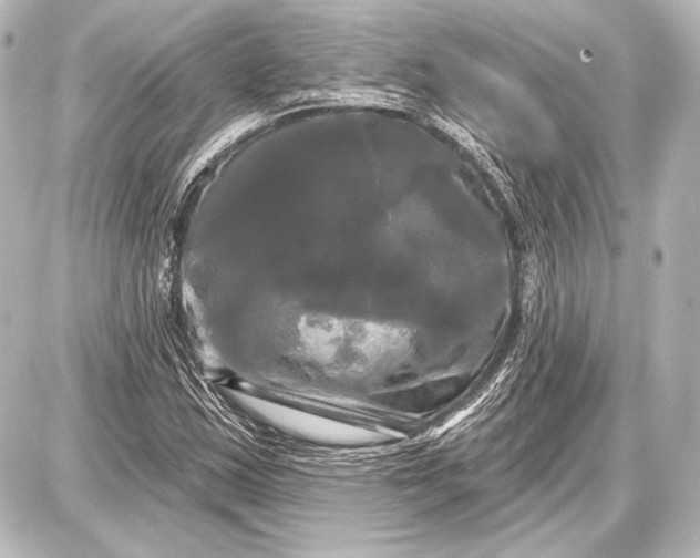 X0000087631163200705181453