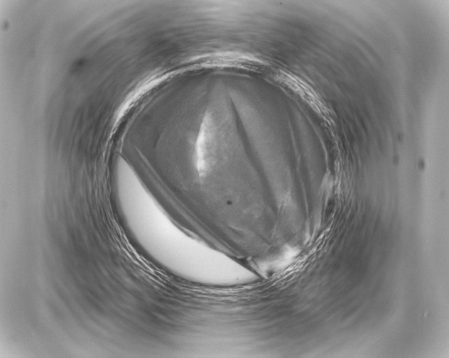 X0000087631164200705181453