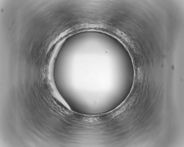 X0000087631165200705181453