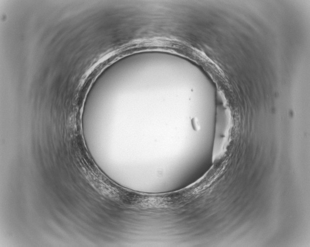 X0000087631166200705181453