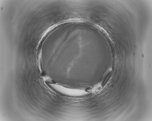 X0000087631168200705181453