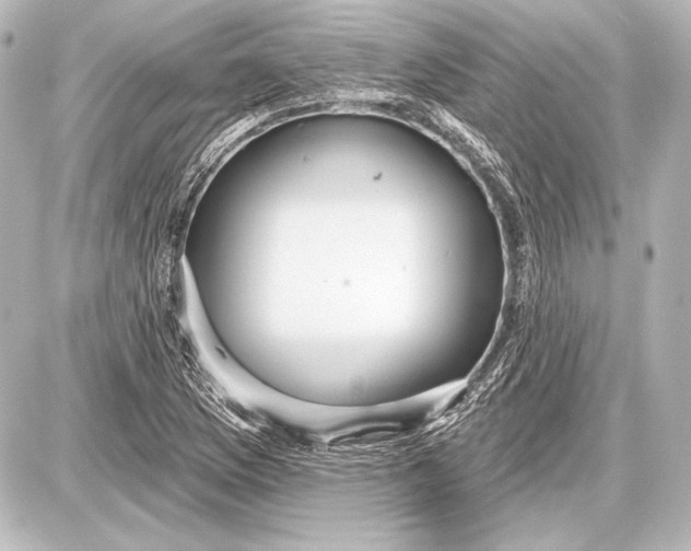 X0000087631169200705181453