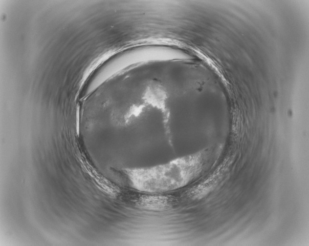 X0000087631171200705181453