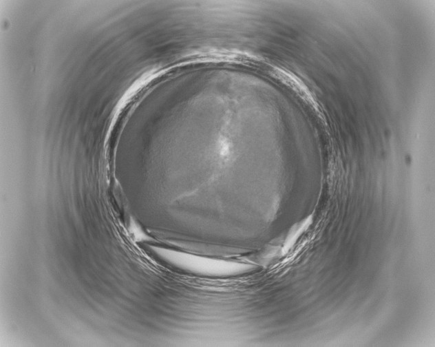 X0000087631172200705181453