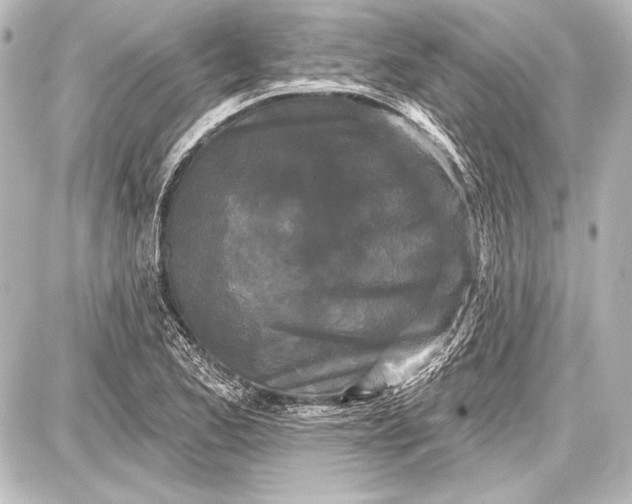 X0000087631173200705181453