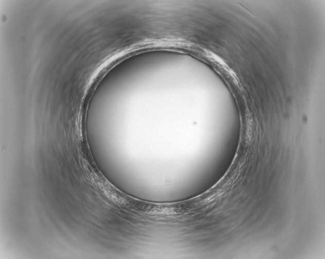 X0000087631174200705181453