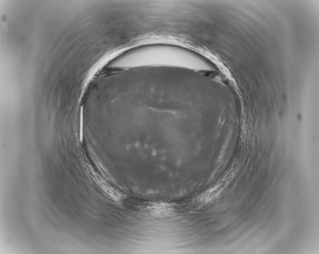 X0000087631175200705181453