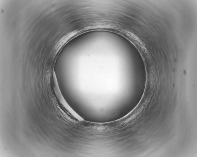 X0000087631177200705181453