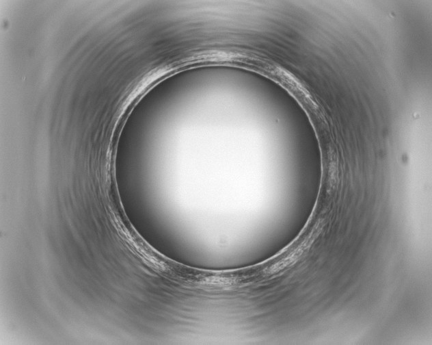 X0000087631178200705181453