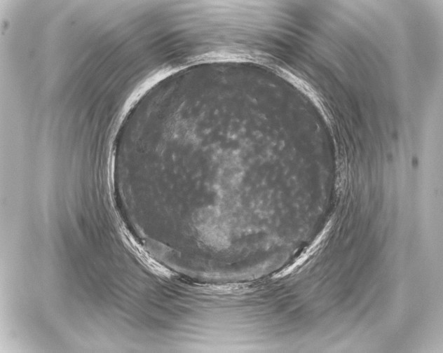 X0000087631179200705181453