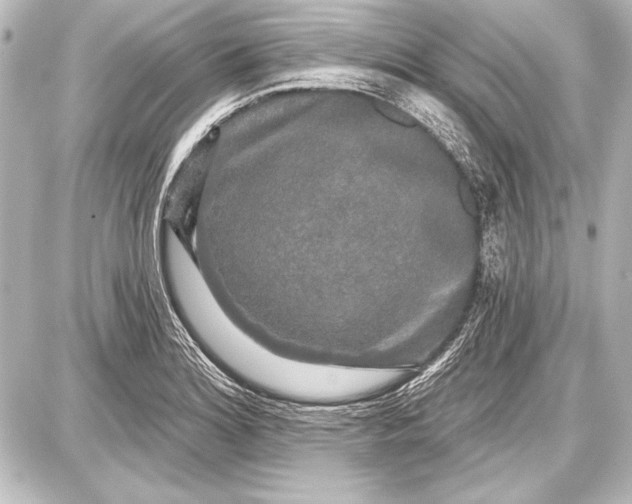 X0000087631180200705181453