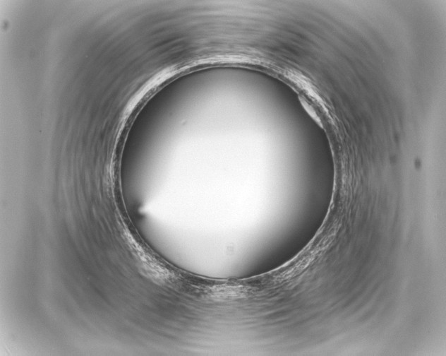 X0000087631181200705181453