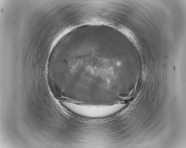 X0000087631183200705181453