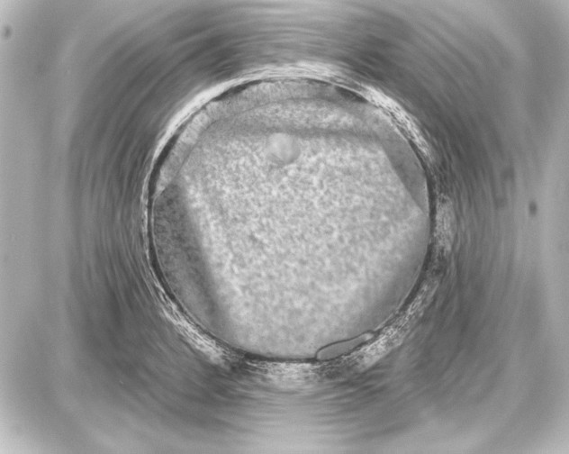 X0000087631184200705181453