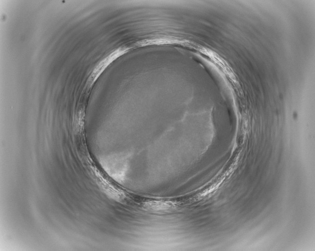 X0000087631185200705181453