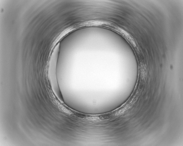 X0000087631186200705181453