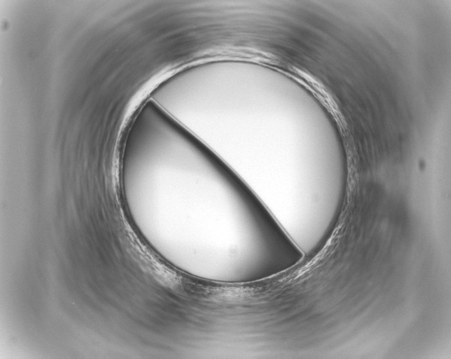 X0000087631188200705181453