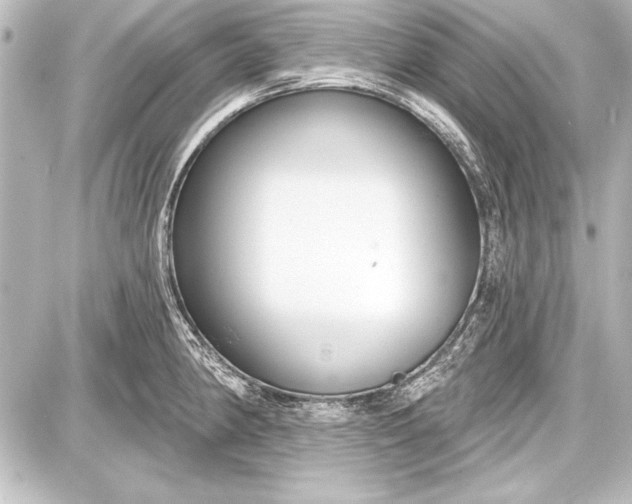 X0000087631190200705181453