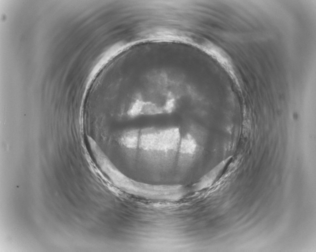 X0000087631191200705181453