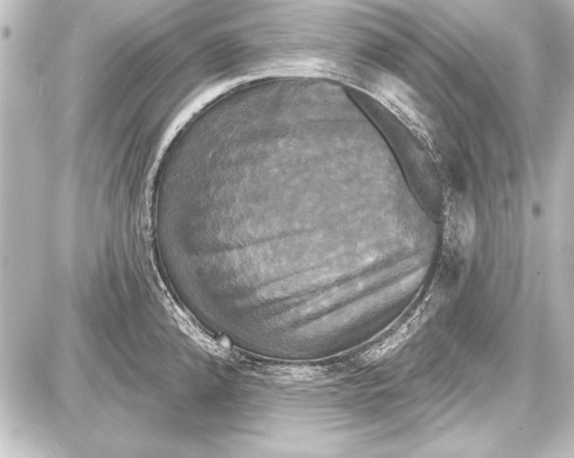 X0000087631192200705181453