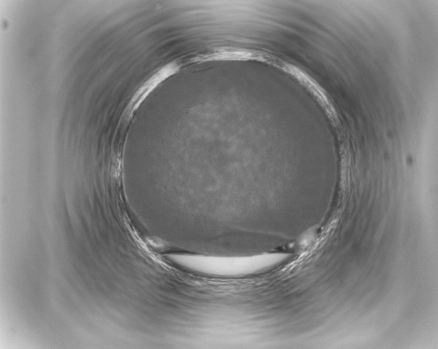 X0000087631193200705181453