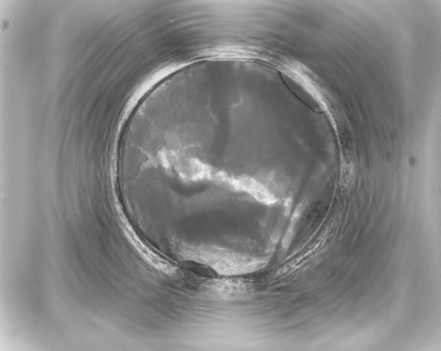 X0000087631195200705181452