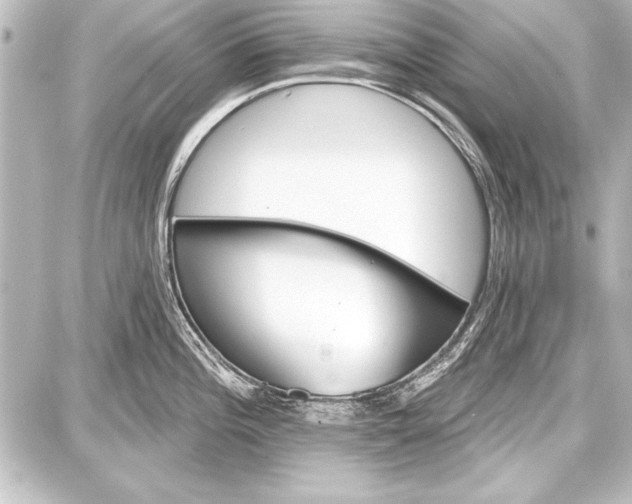 X0000087631196200705181452