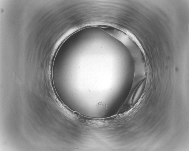 X0000087631197200705181452