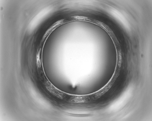 X0000087631198200705181452