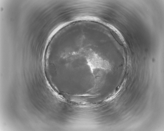 X0000087631199200705181452