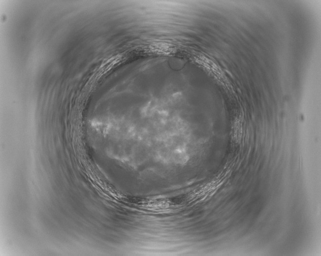 X0000087631201200705181452