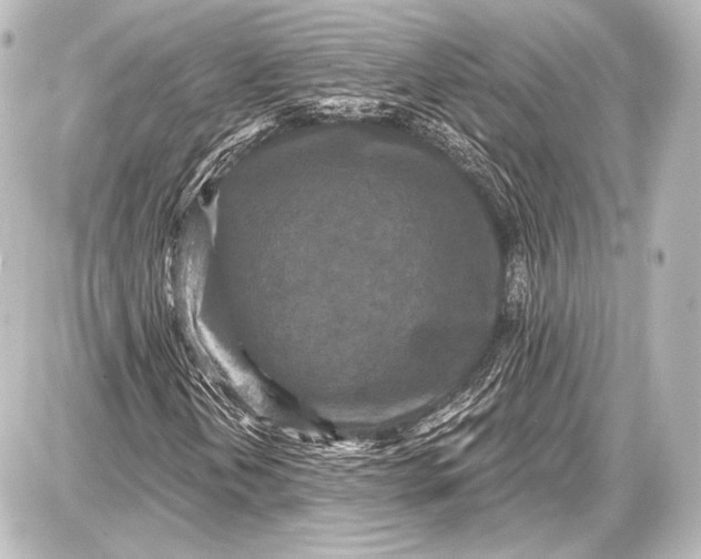 X0000087631202200705181452