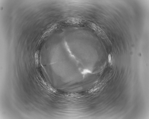 X0000087631203200705181452