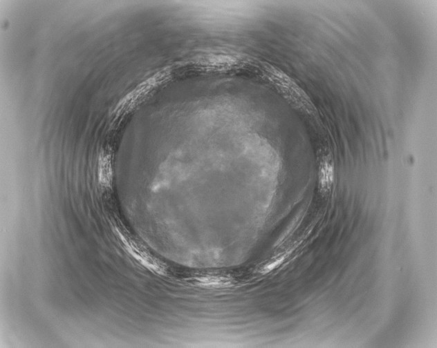 X0000087631204200705181452