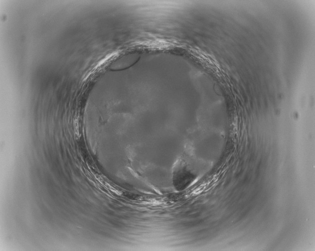 X0000087631205200705181452