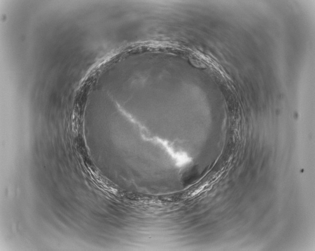 X0000087631207200705181452