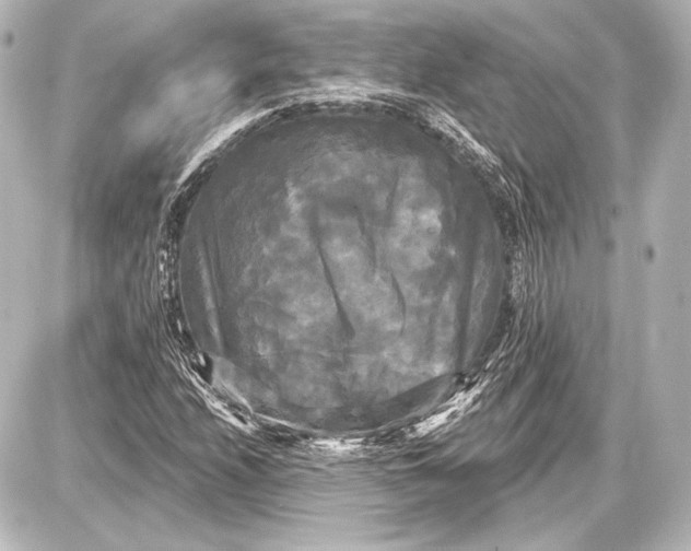 X0000087631208200705181452