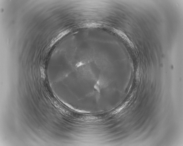 X0000087631209200705181452