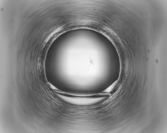 X0000087631210200705181452