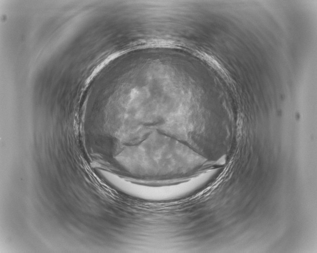 X0000087631212200705181452