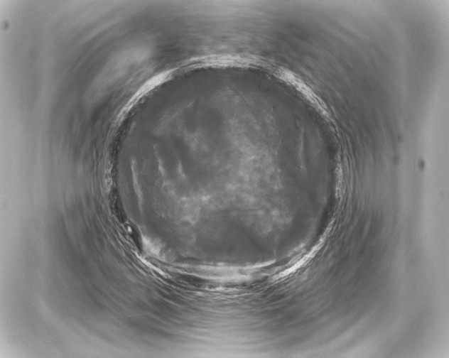 X0000087631213200705181452