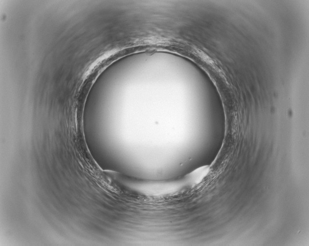 X0000087631214200705181452